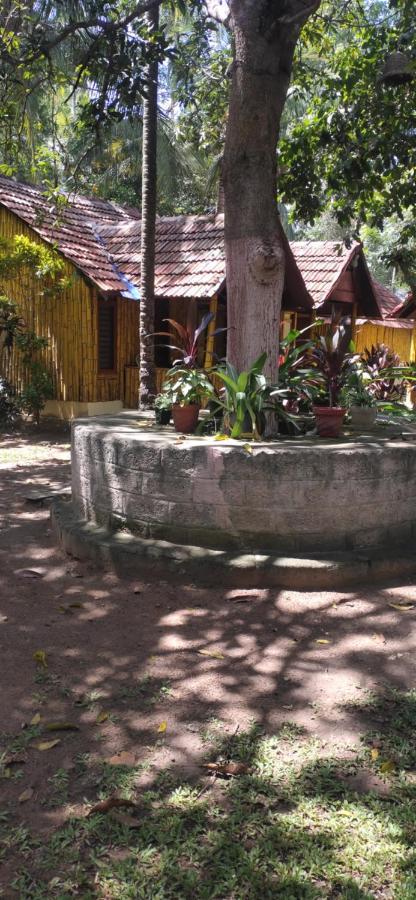 Savithri Inn Cottage 瓦尔卡拉 外观 照片
