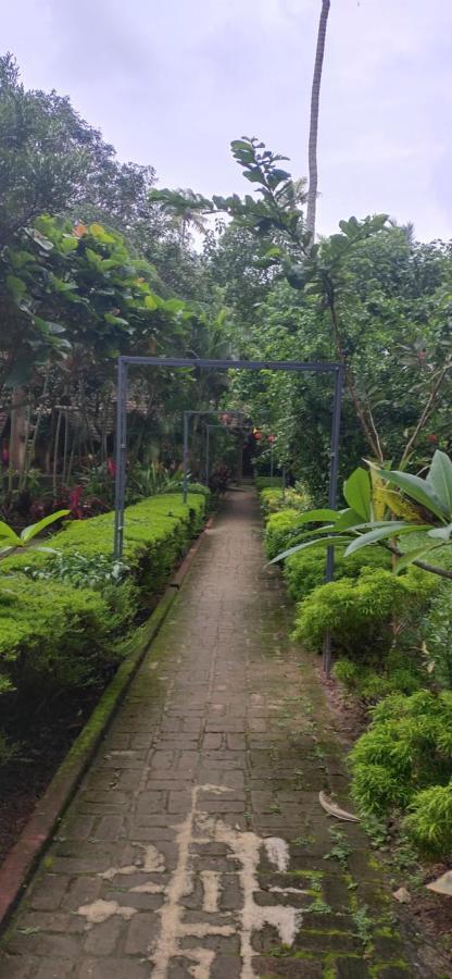 Savithri Inn Cottage 瓦尔卡拉 外观 照片